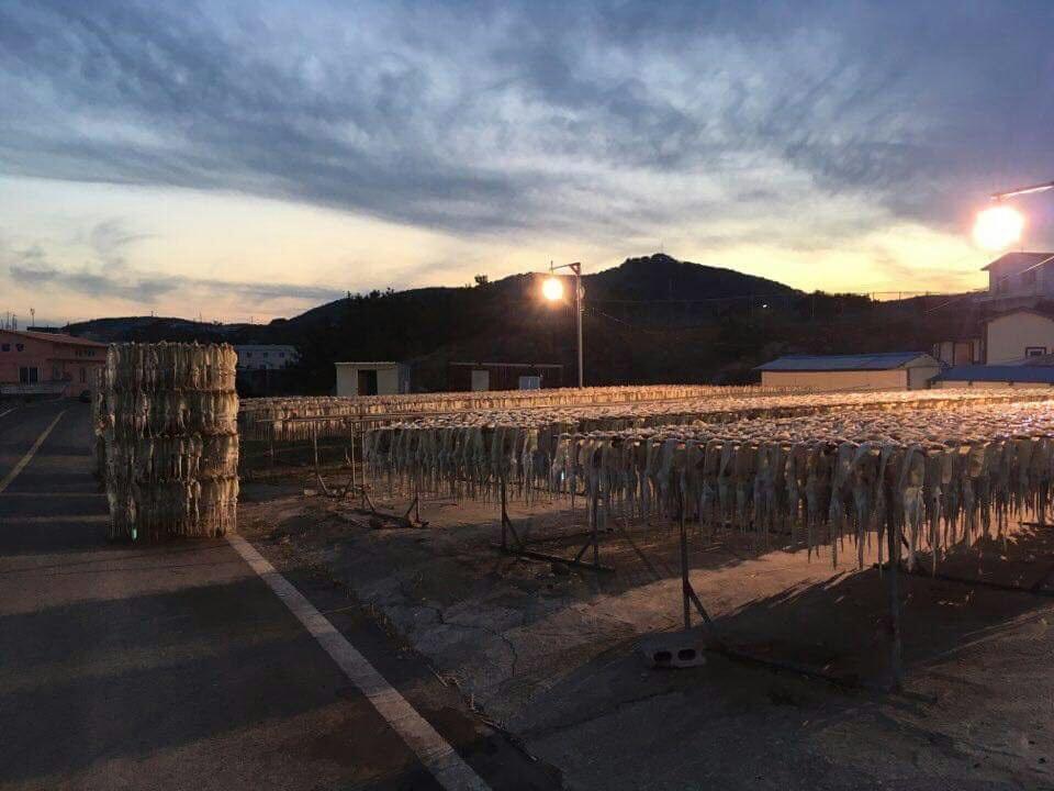 Tobang Red Clay Pension Phohang Kültér fotó